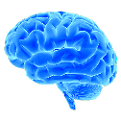 poor working memory